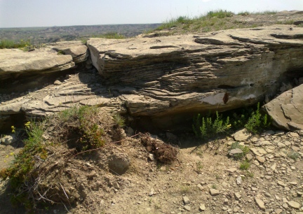 Theodore Roosevelt National Park Rock 2014-07-03