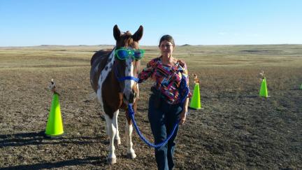 Horse Tricks Arrow Wearing Sunglasses 2015-10-10