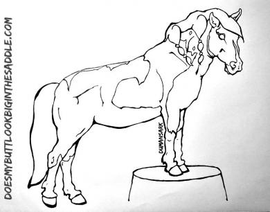 pinto horse coloring pages