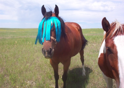 Tonna Displaying Her Flymask