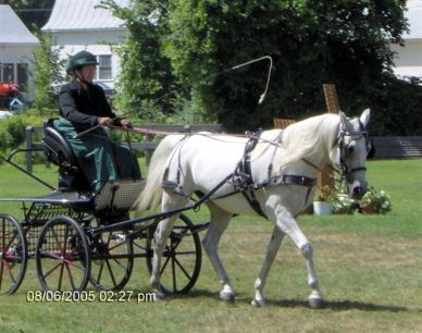 Nancy competing at GMHA, (Vermont) a couple years ago