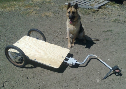 Bike Trailer Finished 2014-07-26