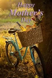 Mother's Day Bicycle