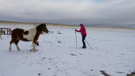 Marna CC Skiing Dream Maker pony, Joy the Cocker