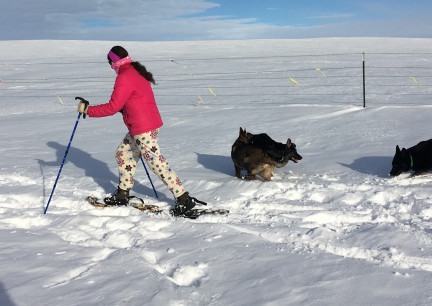 Marna Snowshoeing 2018-02-14