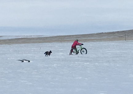 Marna Tabaliah Pushing Bicycle 2017-02-04