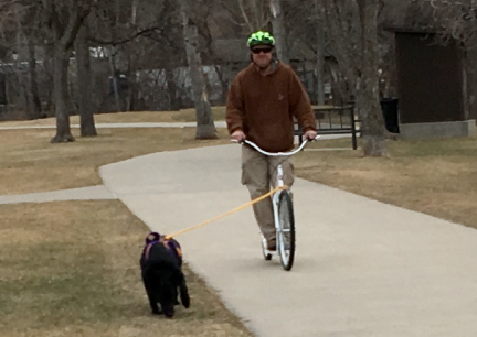 Texas Tea Pulling Deron Spearfish Park 2017-03-08