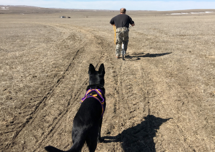 Texas Tea waiting to be called to work 2017-03-04